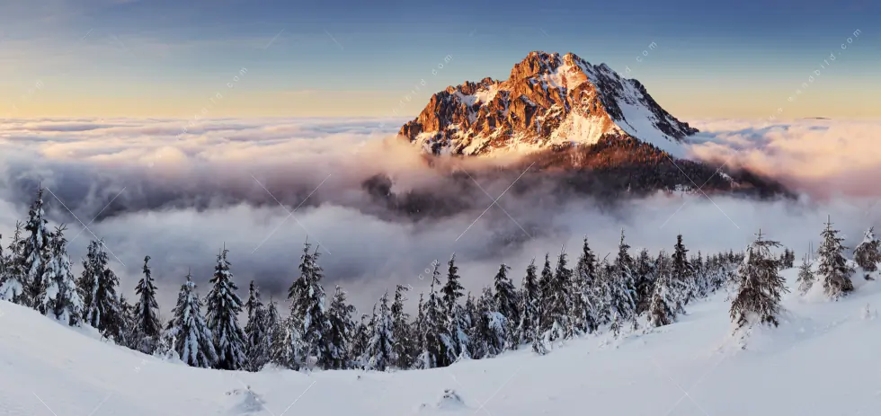 Produktbild 5