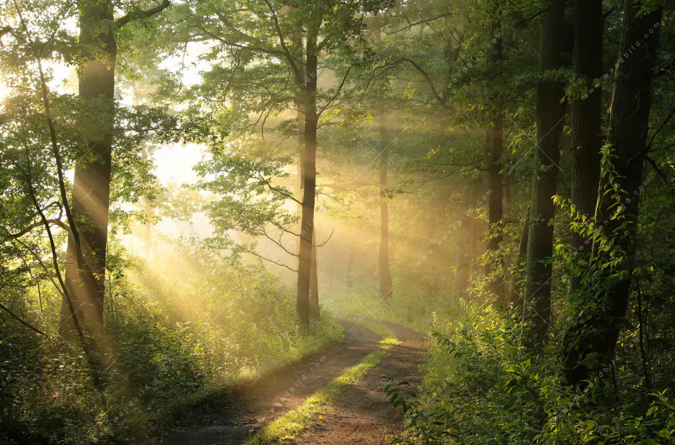 Produktbild 5