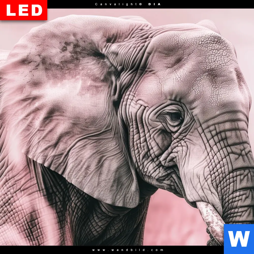 Produktbild 4