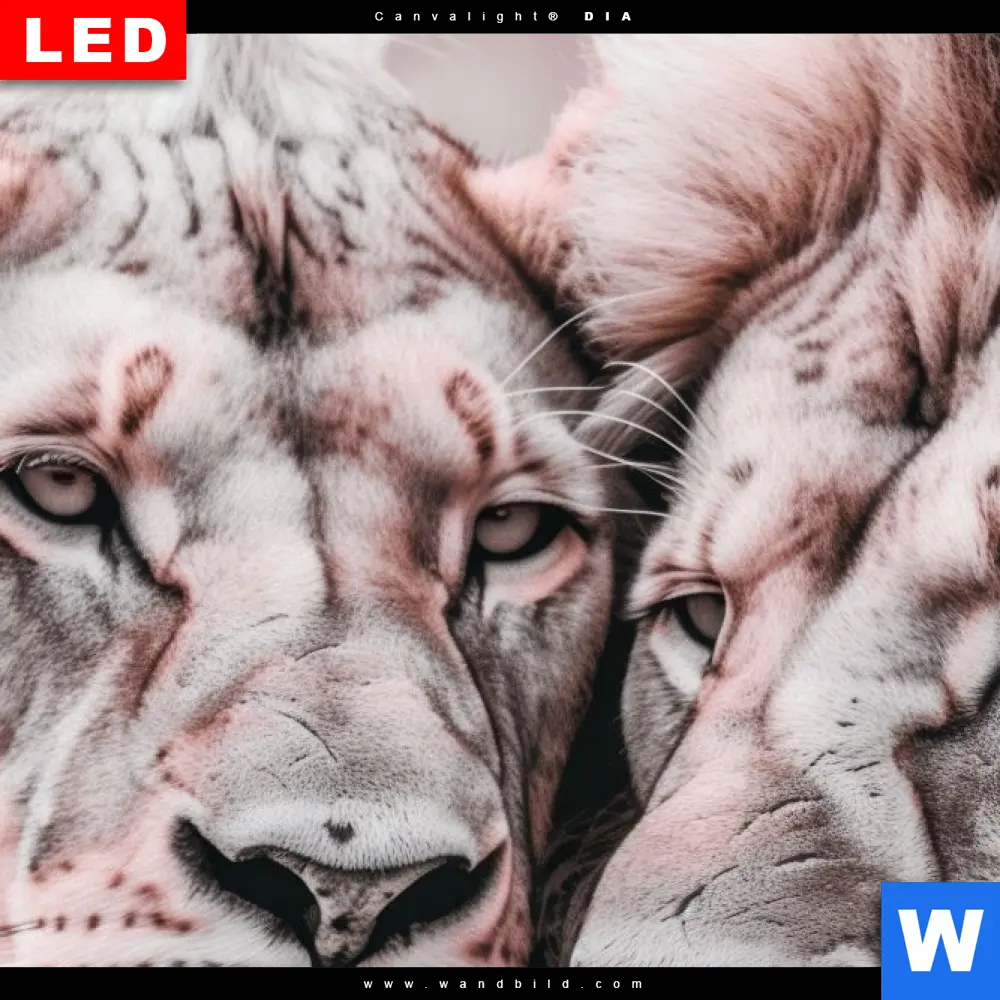 Produktbild 4