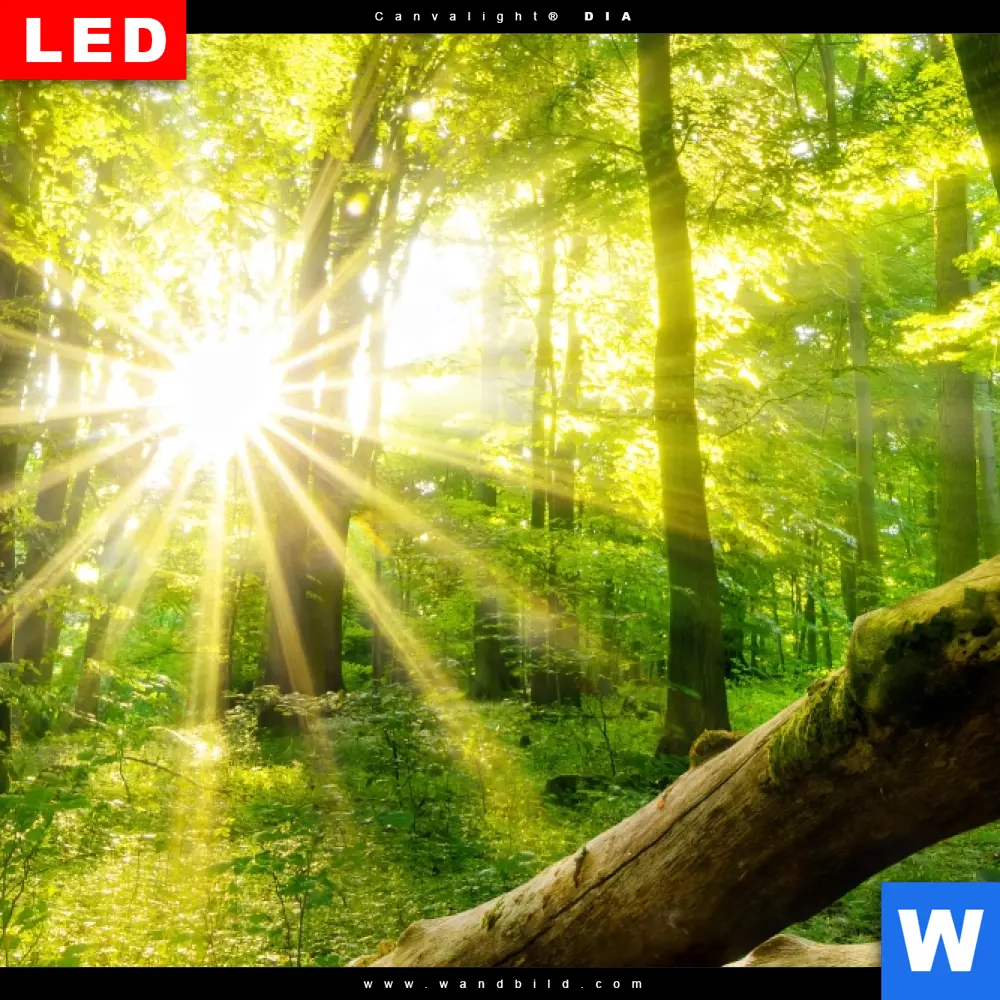 Produktbild 4