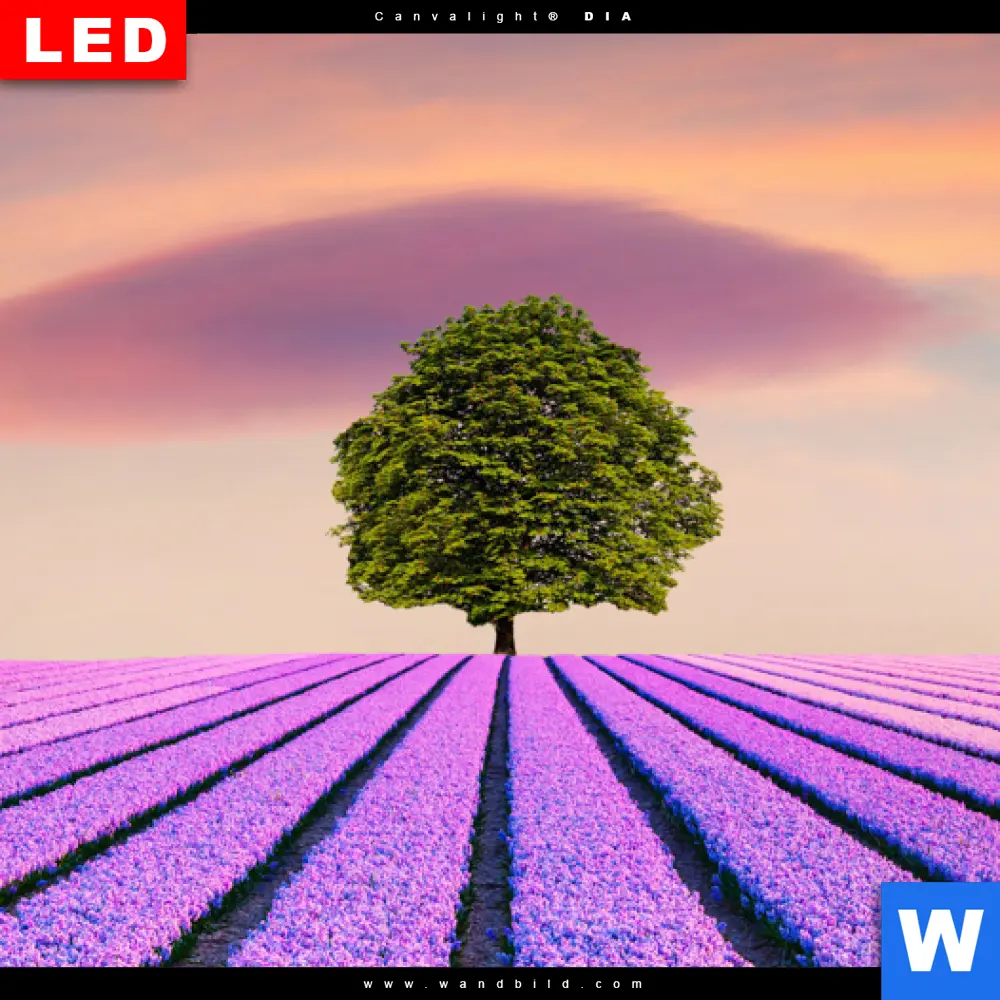 Produktbild 4