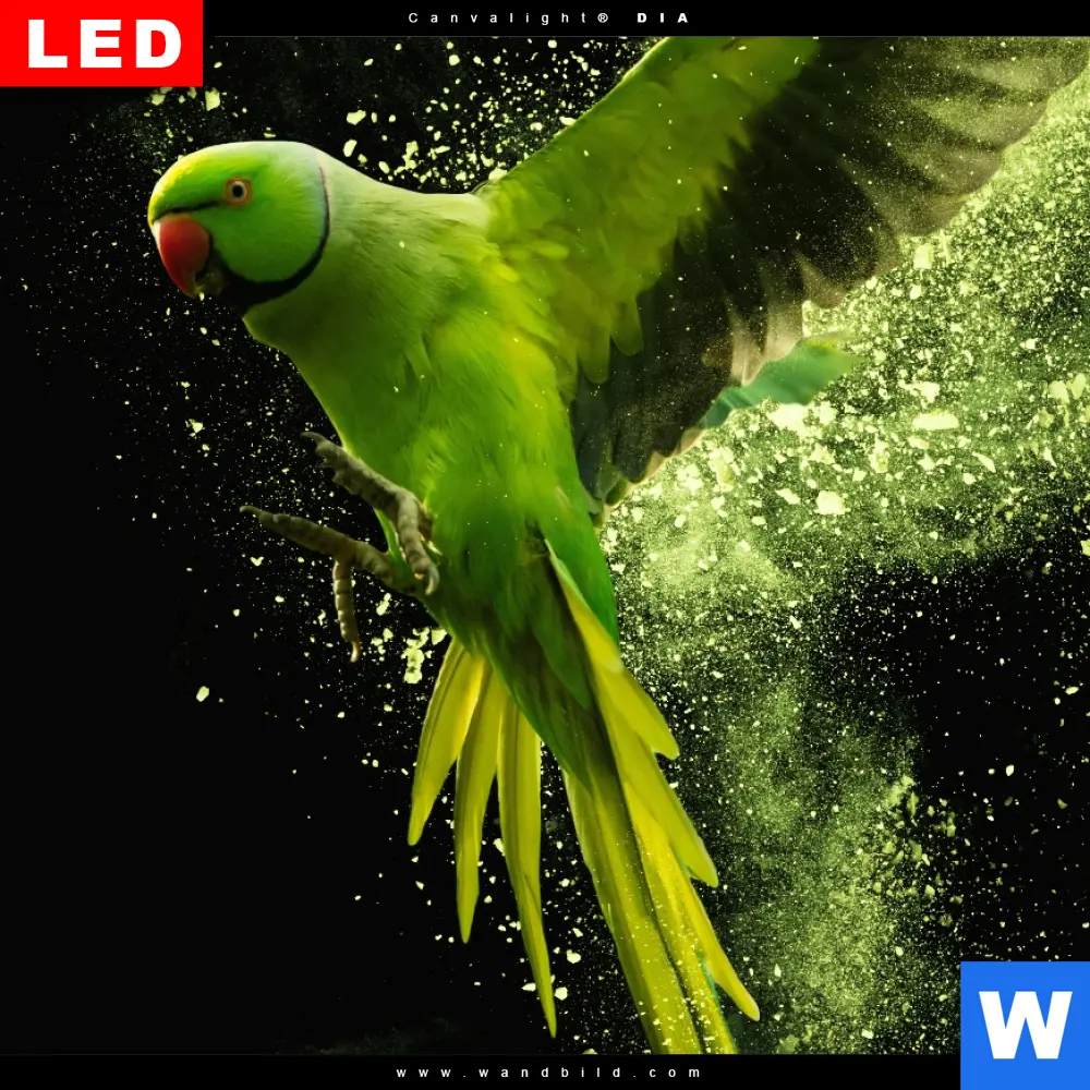 Produktbild 4