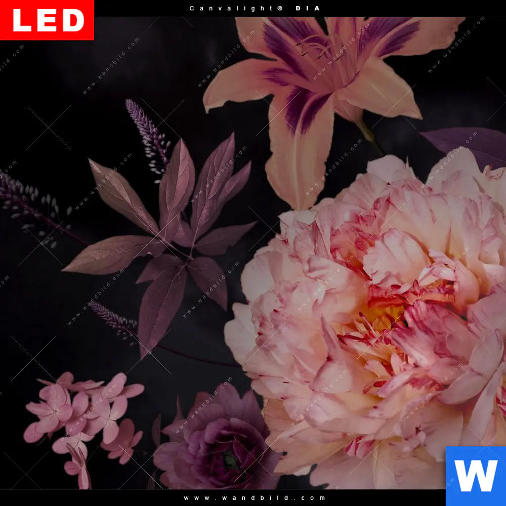 Produktbild 4