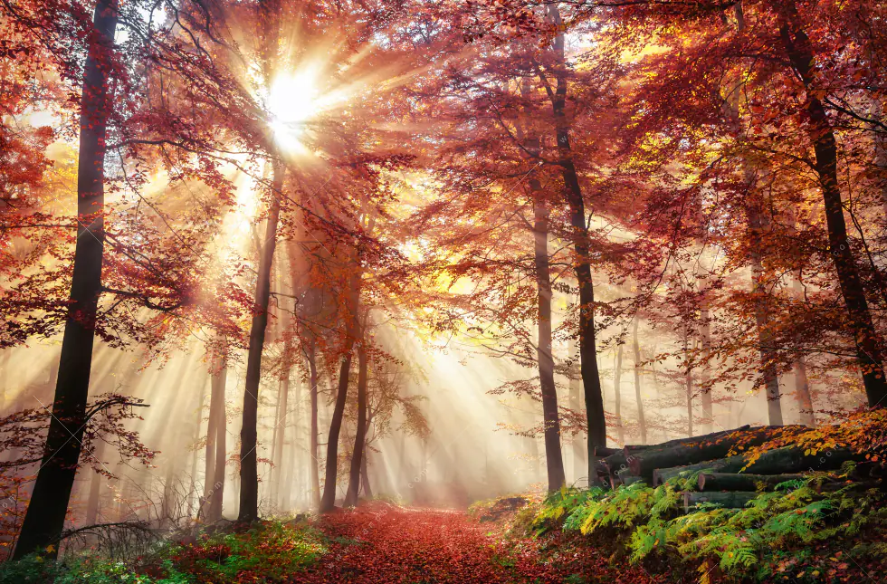Produktbild 5