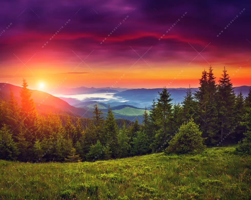Produktbild 5